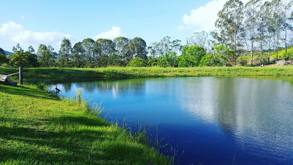 Amamoor Homestead And Country Cottages Buitenkant foto